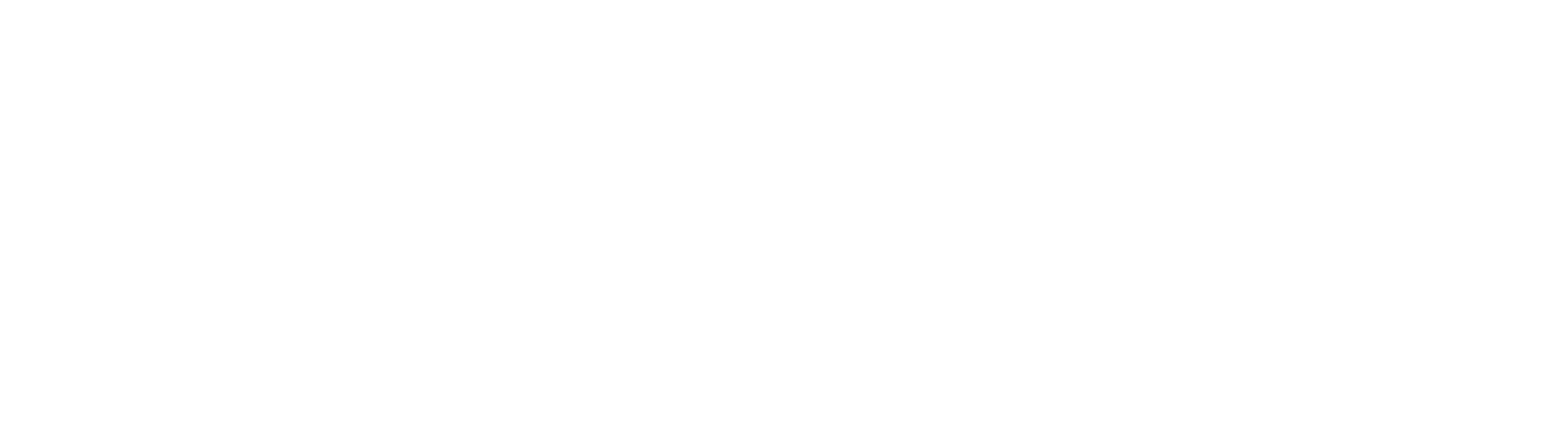 ffPro logo Express